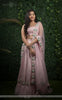 Nandini Baby Pink Raw-Silk Hand-Embroidered Ribbon Work Lehenga