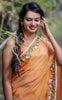 Tangerine Garden Silk Chiffon Ribbonwork Saree