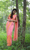 Coral Pure Georgette Saree with Gingko Leaf Embroidery