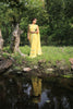 Pastel Yellow Pure Georgette Buttercup Ribbon-work Saree