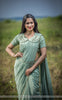 Hornet Pure Silk-Crepe Hand Embroidered Saree