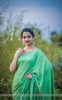 Mugdha Muslin-Cotton Hand-Painted Swans Saree
