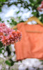Tangerine Garden Raw Silk Blouse With Lace